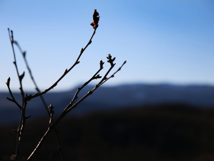 stemmningsbilde5