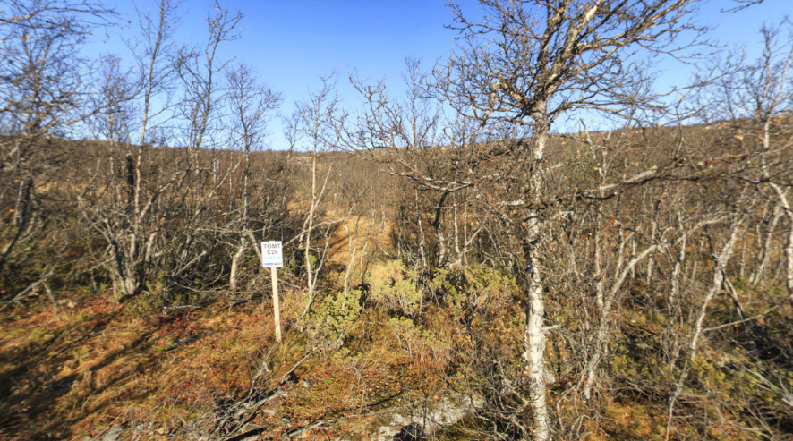 C28-5