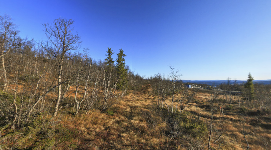 C31-5